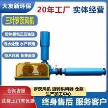 罗茨风机厂家 污水厂 气力输送 增氧曝气增压沼气天然气高压风机