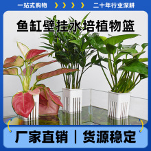 鱼缸水培定植杯家用水草种植杯壁挂式水草杯水培篮子鱼缸造景装饰