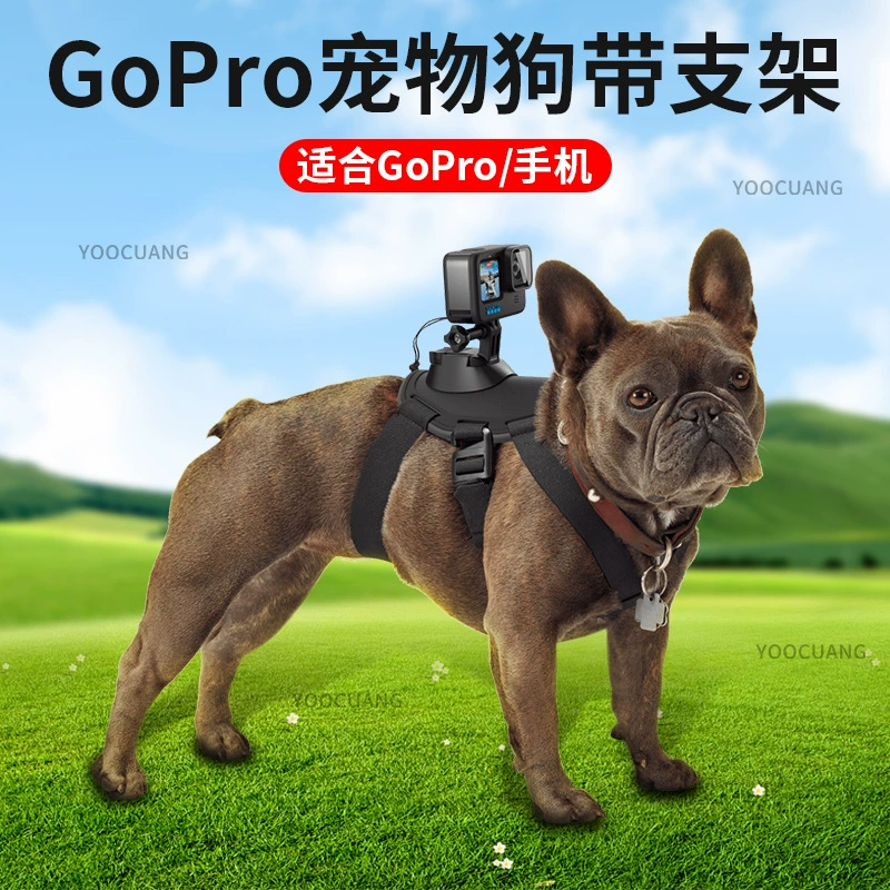 Ремешок для питомца GOPRO, крепление для экшн-камеры DJI ACTION, фиксированный угол обзора, для собак, ACTION3