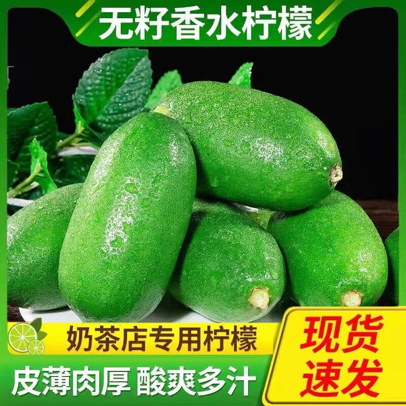 Hainan Seedless Fragrant Lemon, Bullet-Shaped Lemon with Thin Skin, Hand-Pounded Lemon Tea, Fresh Lime Fruit Companion Hainan Seedless Fragrant Lemon, Bullet-Shaped Lemon with Thin Skin, Hand-Pounded Lemon Tea, Fresh Lime Fruit Companion