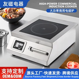 炊事设备;电磁炉;其他厨房电器