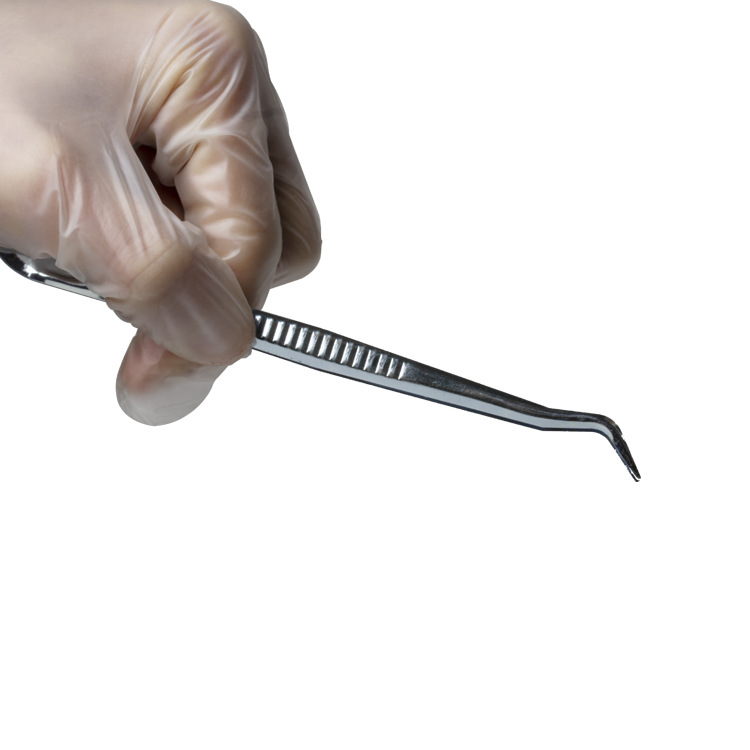 Pinzas dentales, pinzas de hierro desechables, pinzas curvadas, pinzas para caja de instrumentos bucales, pinzas curvadas de hierro fundido