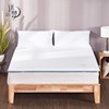 Distant dream argy wormwood mattress Cushion 1.5 Mat student dormitory Double 1.8 argy wormwood Cushion household