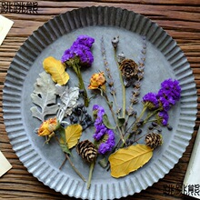 【复古风干花材料】短枝真植物标本相框diy花艺手作绣球欧式树叶