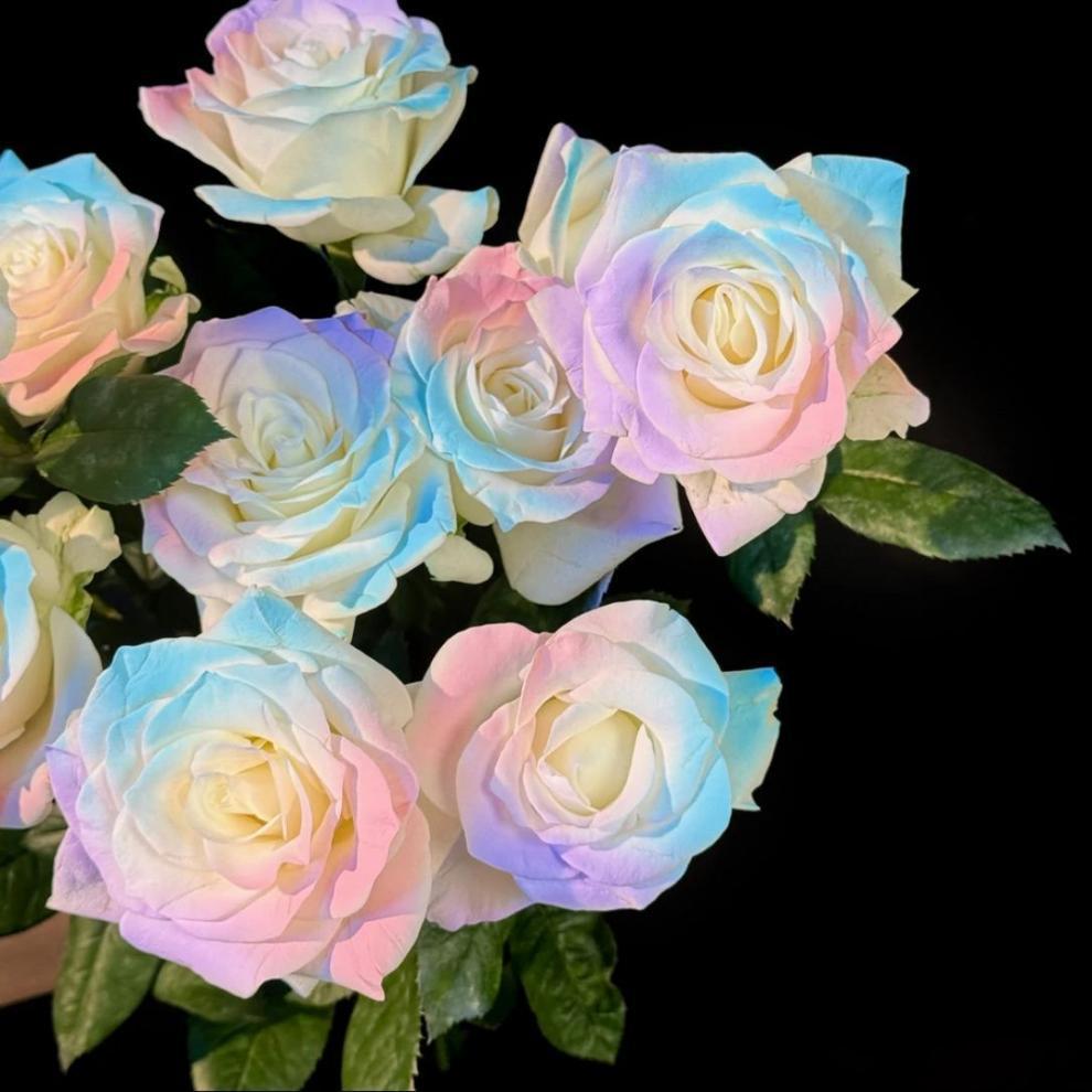 f83780fa-0626-4741-9948-1530bb538ecd.jpe