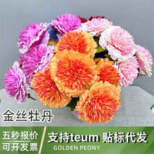 �����zĵ��5�^����ĵ���羳�ɴ��l���滨��С�ѻ��ٻ��҃Ȕ[��