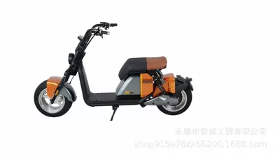Elektrikli motosikletlər – Electric Scooter Wholesale - orange-20ah