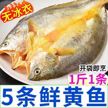 【特價中】開背黃魚鮮活冷凍真空袋裝試黃菇魚特級冰鮮黃跨境代發