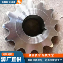 非标304不锈钢链轮单双排输送机传动轮工业输送大节距不锈钢链轮