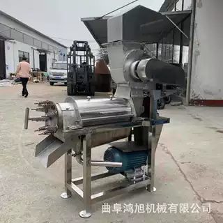 多功能大型草莓螺旋榨汁机 工业水果蔬菜打汁机 柠檬橙子果汁机器