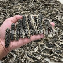 精选印尼黑刺王参 刺黄参 黑刺参 深海海参干货批发淡干刺王参