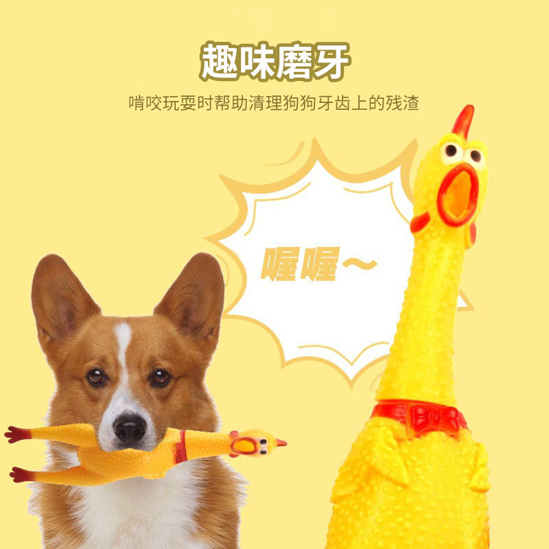Screaming chicken