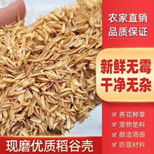 �����|�����r�Ț��ֿ��׿�ι�u�����J���u�|�����^о���ᄾ����