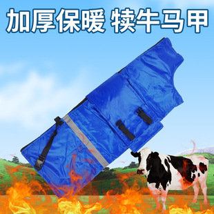 ţ�ٷ����R�נ�ţ�·�Сţ��ů�R��ͨ��ţ����ţ��������Сţ����