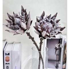 仿真干枯帝王花 植毛欧式普罗霸王花 假花摆件样板房摄影道具软装