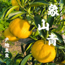 ��ɽ������ձ��������ּ���o��ؕ�����rˮ���óԲ��ϻ�