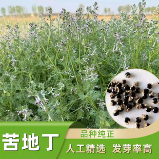 ��ض��N���ͺ��ض��������ض��ݶ������ݱ�ֲ��ඡ�в�ș�ķN��