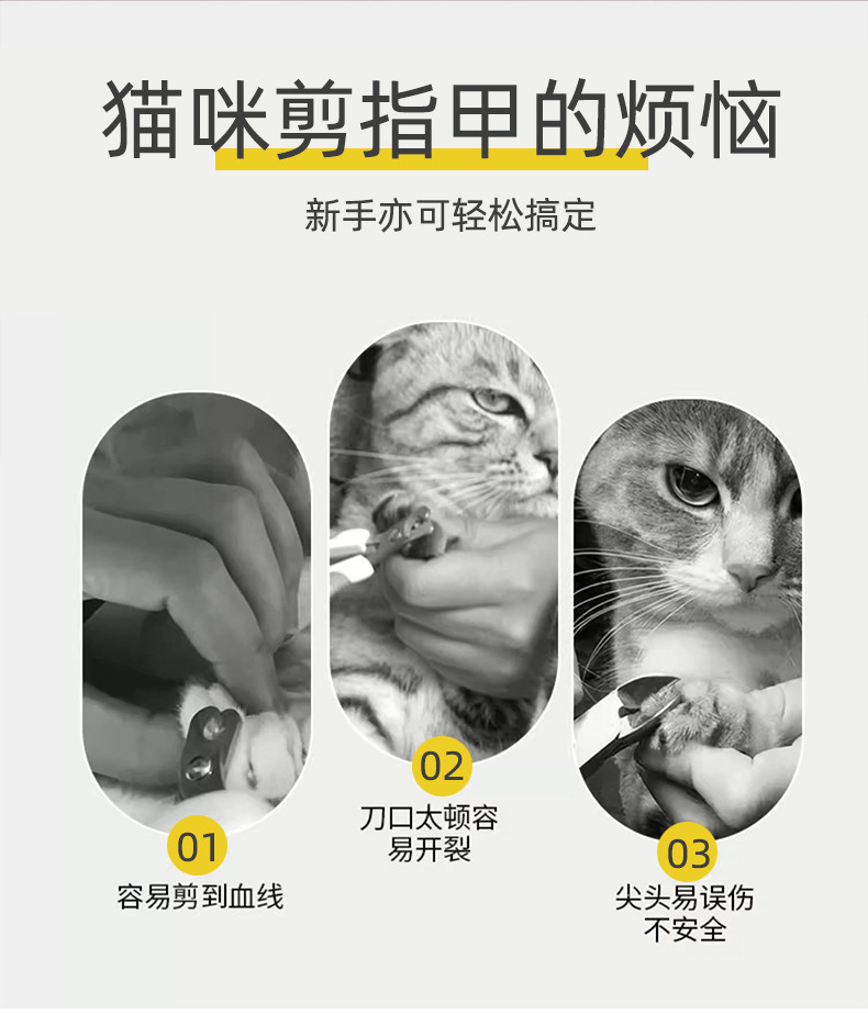 c1c29ffc-8d2a-4db3-a7bb-d17b3f0d788e.jpe