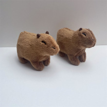 �F؛�羳��ƷCapybara Rodentˮ����ë�q���п�ͨ��żһ�����l