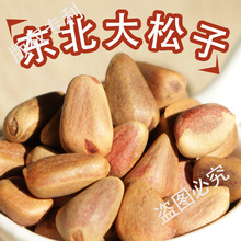 新货生松子东北野生不开口大颗粒原味新鲜松子仁松鼠粮500g散装