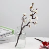 Linglong plum blossom white