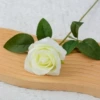 White (silk cloth)