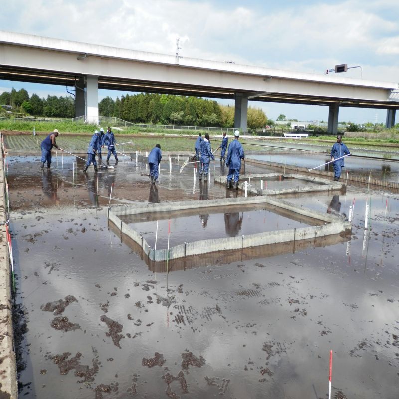 食品油脂储罐边缘板防水防腐材料，应用于石油、天然气、化工。