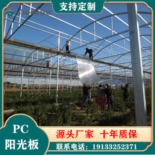 Sunshine Board Pc Transparent Hollow Double-Layer Four-Layer Polycarbonate Board Outdoor Roof Greenhouse Carport Lighting Board