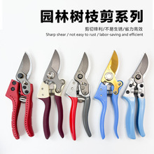 ����֦������֦������֦������Ӽ�����֦���ܾG���@ˇ�����S���l