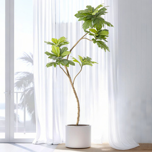 ����ֲ������ ���;Gֲ�҃�����辰�G�����̾��^�@�����������