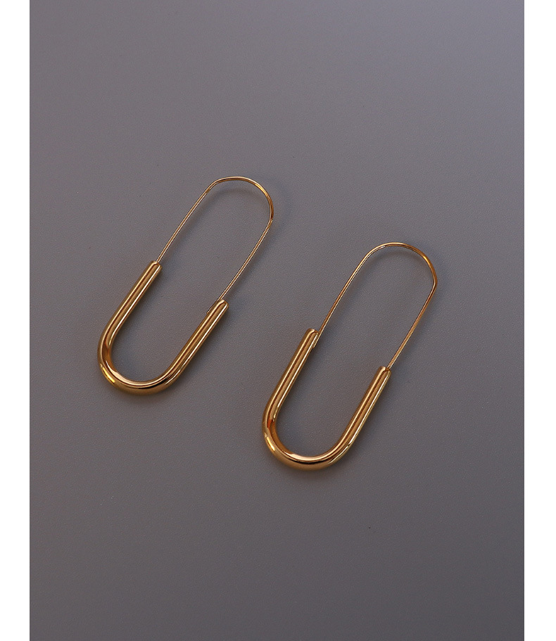 Simple Long Brooch Earrings display picture 5
