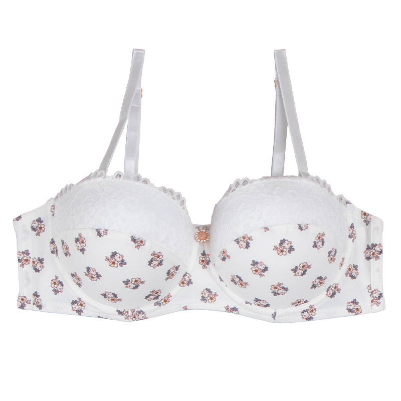 Europa y América comercio exterior ropa interior de encaje sexy, impresión de nylon transpirable, secado rápido, pecho pequeño, conjunto de sujetadores de damas.