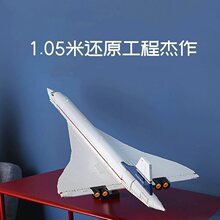 �羳�����ָ�10318Э�ͺŷɻ�����ͻ�ƴװ��ľ���������������