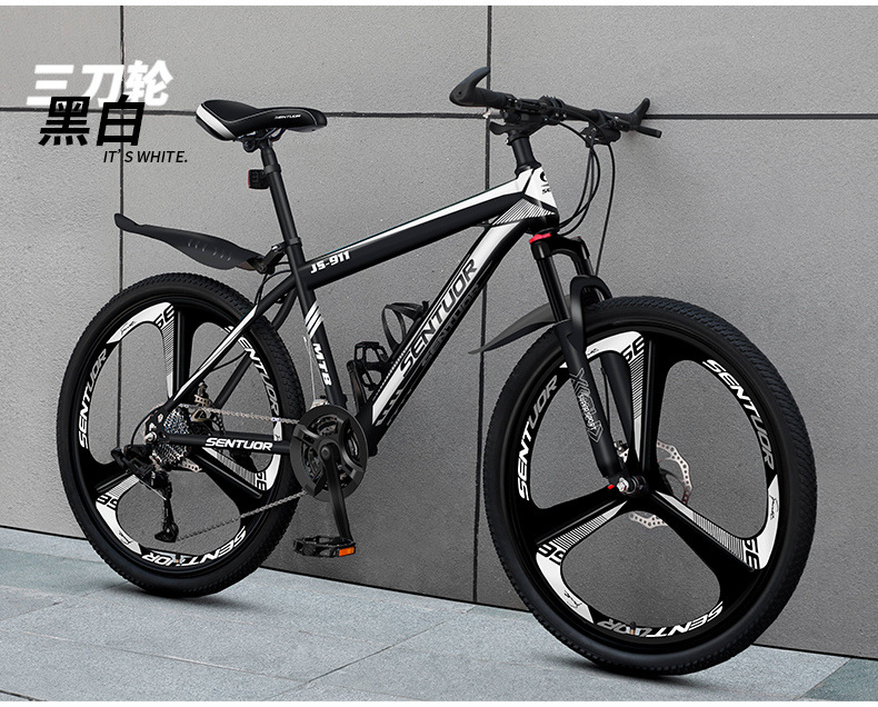 c153e4fc-2eb7-4365-9b61-3bea1f0fc2f4.jpe