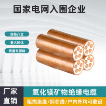 BTTZ�V��^����|������|���~��늉�0.6/1KV���˶���~о�����