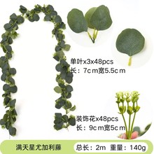 �¿�����ٗl�ȼ����ٗl�Ҿ��b��X�~�����ٗl�羳�S�����l