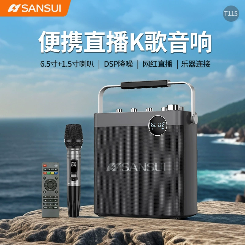 Портативная беспроводная Bluetooth-колонка Shanshui T113 для танцев, использования на открытом воздухе, с супербасом, караоке-колонка с микрофоном