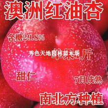 �Ә�����Ʒ�N���޴�t���Ә�������d�ͺ��ͺ�����Y���ϱ����Nֲ