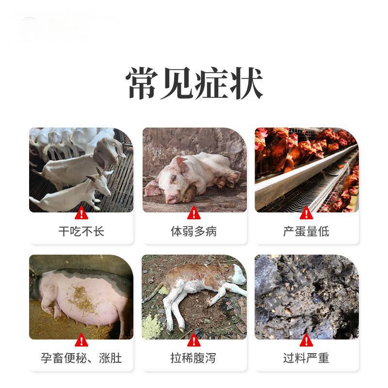 微信图片_20250223102435