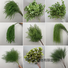 �¿��c����Gֲ���ĵ�픻���Y�廨��ˇ�J���ݽ����G�~�ٻ�����