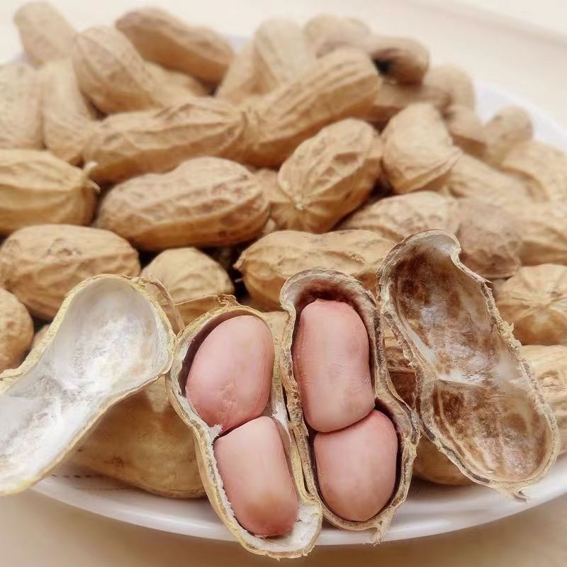 O1CN01eTIyaE1txOTPOdb4e_!!2203