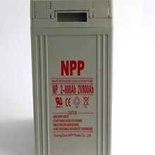 늳NPG2-800 NPPzwSoNP2-800C늙2V800AH