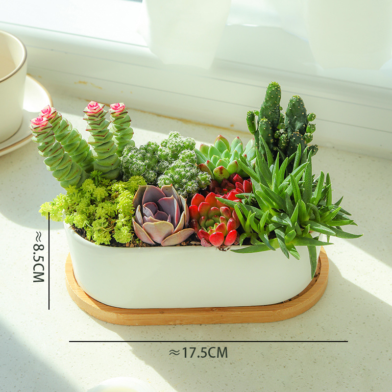 [인기모델] 직사각형 원형 엣지 세면대 조합 A (세면대 + 대나무 홀더 포함)