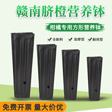 �M��Ě�ȠI�B��������һ���ԼӺ�Ӹ����籭���ٱ��¼�����Nֲ��