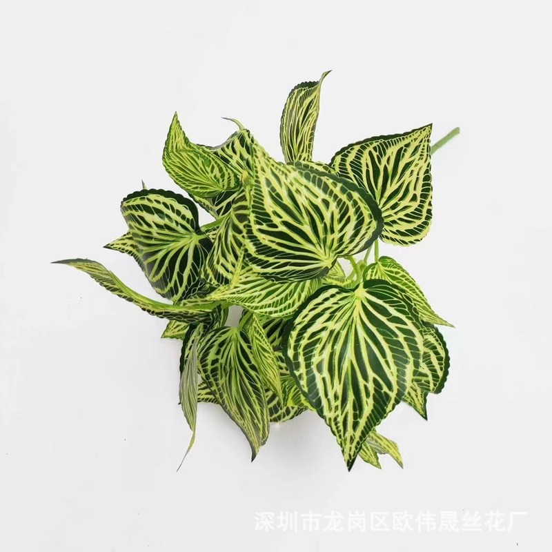 直送7頭PVC製人工観葉植物、グリーンロウ、星点目、偽の葉、ギフト、結婚式の部屋の装飾、飾り物|undefined