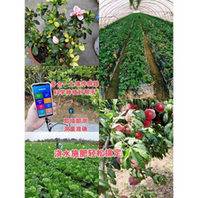 �֙C�؝�����������B�֙z�y�x늌���EC�������|���ٜy�xPH����