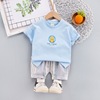 Summer summer clothing, children's set, flower boy costume, children's clothing, wholesale, with short sleeve