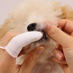 Pet Teeth Cleaning Finger Cots Nylon Knitted Finger Brush Cat and Dog Oral Cleaning Finger Cots with Lanyard White Pet Supplies