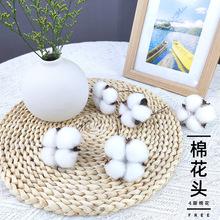 �S�ҬF؛ ľ�޻��ɻ���Ȼ�Ҿ��b�Ʒ���Ք[�� �޻��ɻ�֦�������l