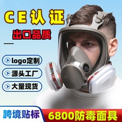 ラベル付きマスク、越境、ホルムアルデヒド、塗装、化学薬品、農薬、装飾粉塵、シリコン、有毒物質、フルフェイスマスク、防毒マスク